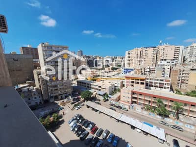 Apartment in Mustafa Kamel