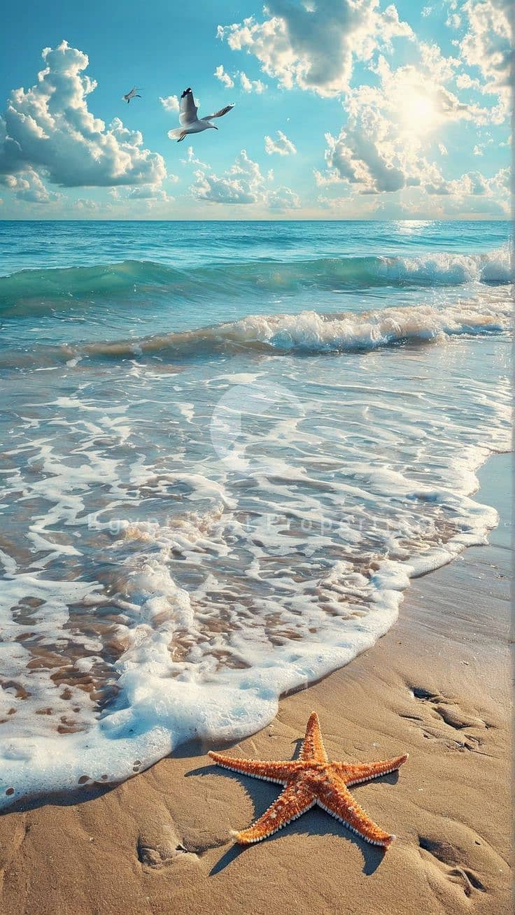 شاليه بغرفتي نوم في مراسي، صورة ١٩ من ١٩
