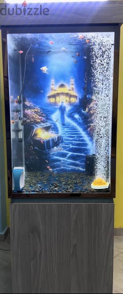 Fish aquarium