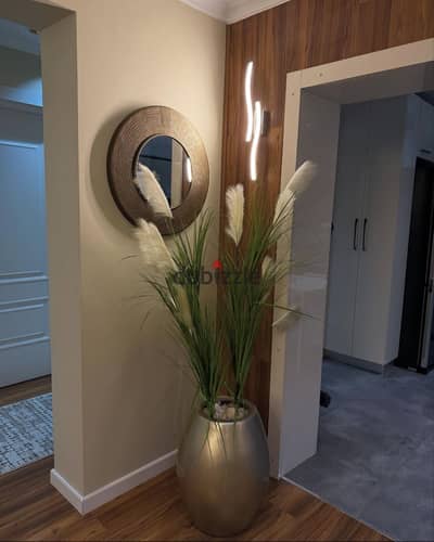 Investment opportunity with an annual dollar return Apartment for sale minutes from Swan Lake and Hyde Park