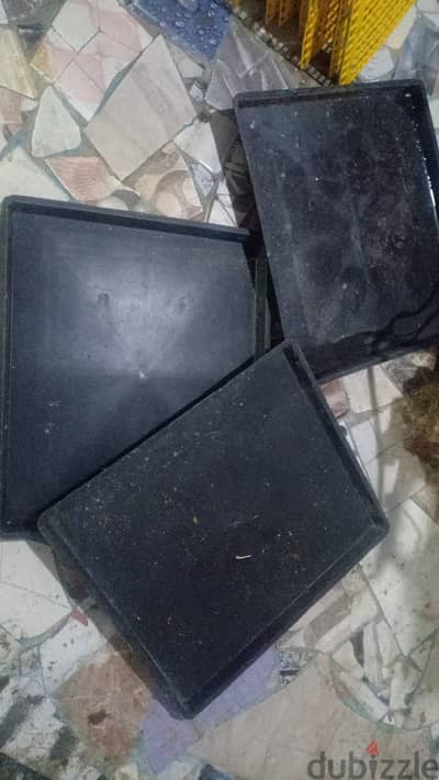 إدراج بطاريات دواجن