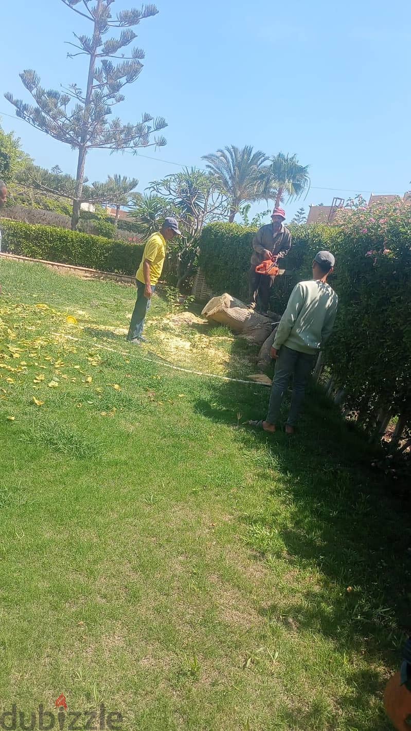 شاليه بـ٣ غرف نوم في مارينا ١، صورة ١٦ من ١٦