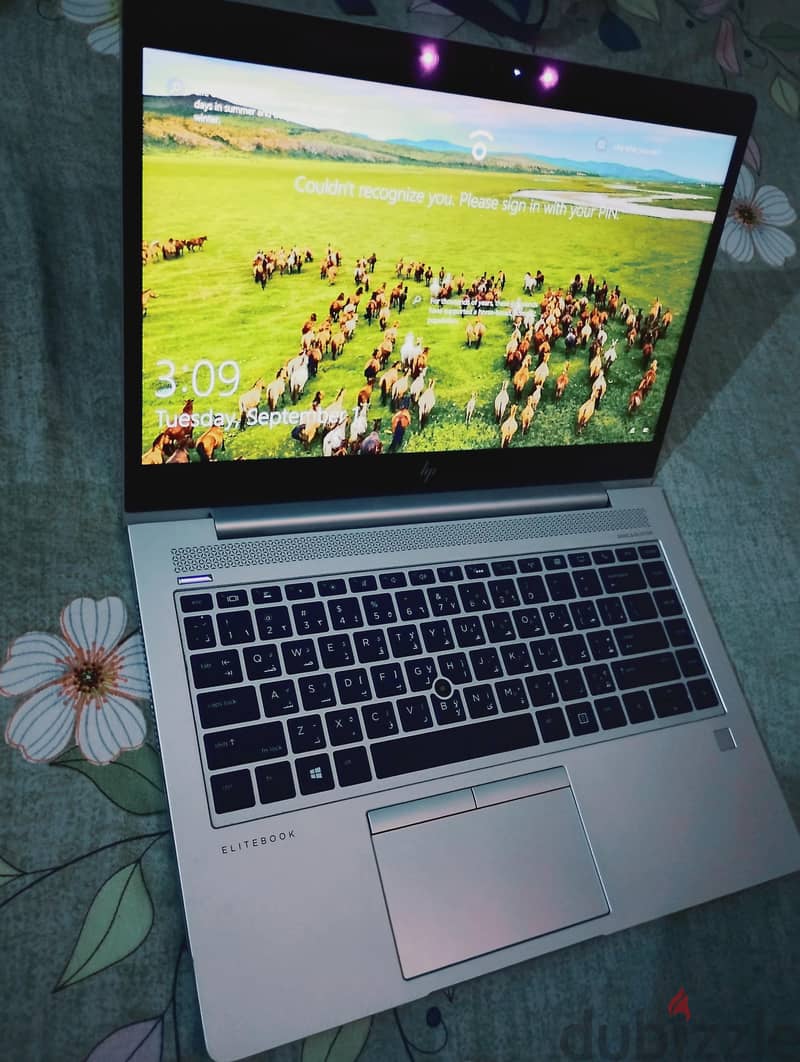 HP EliteBook 745 G6 5