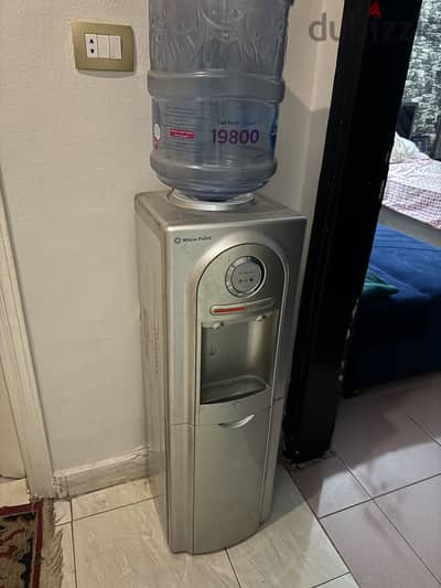 Dispenser white whale