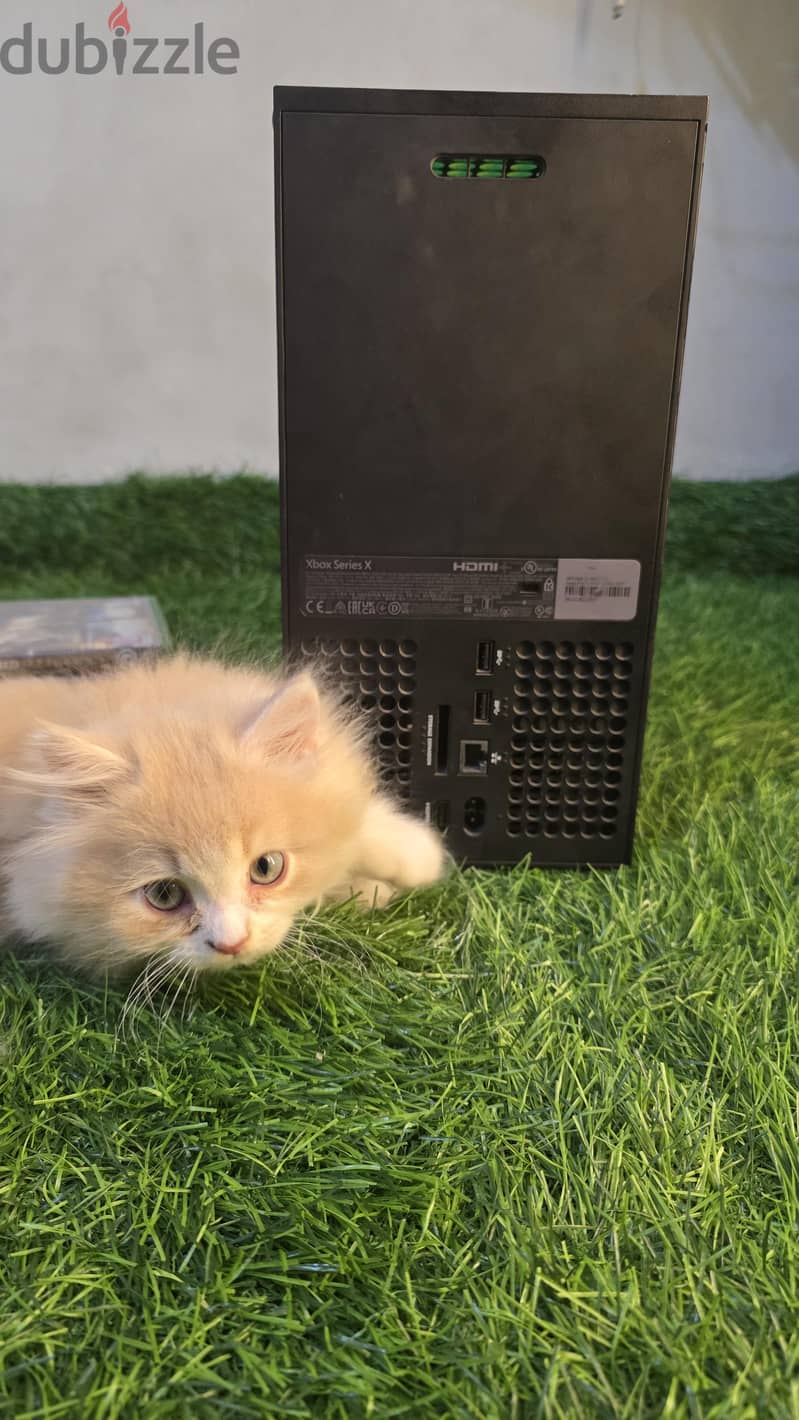 xbox series x 2024 1