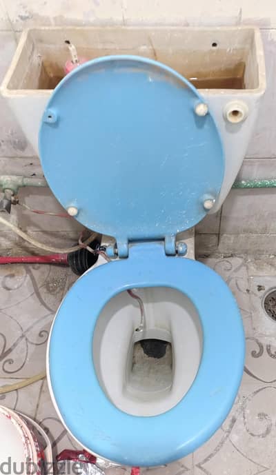 قاعدة وحوض