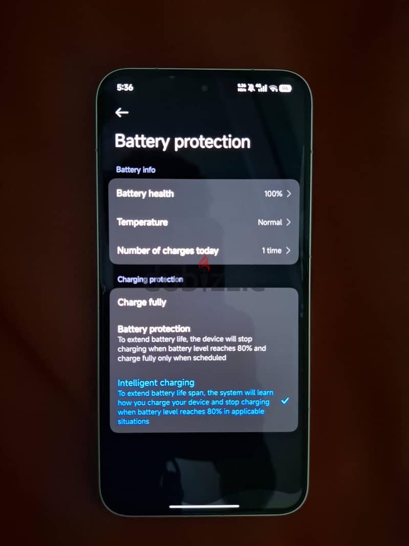 Xiaomi Other Model 1
