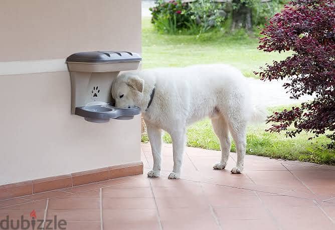 Dog Food Stand 2