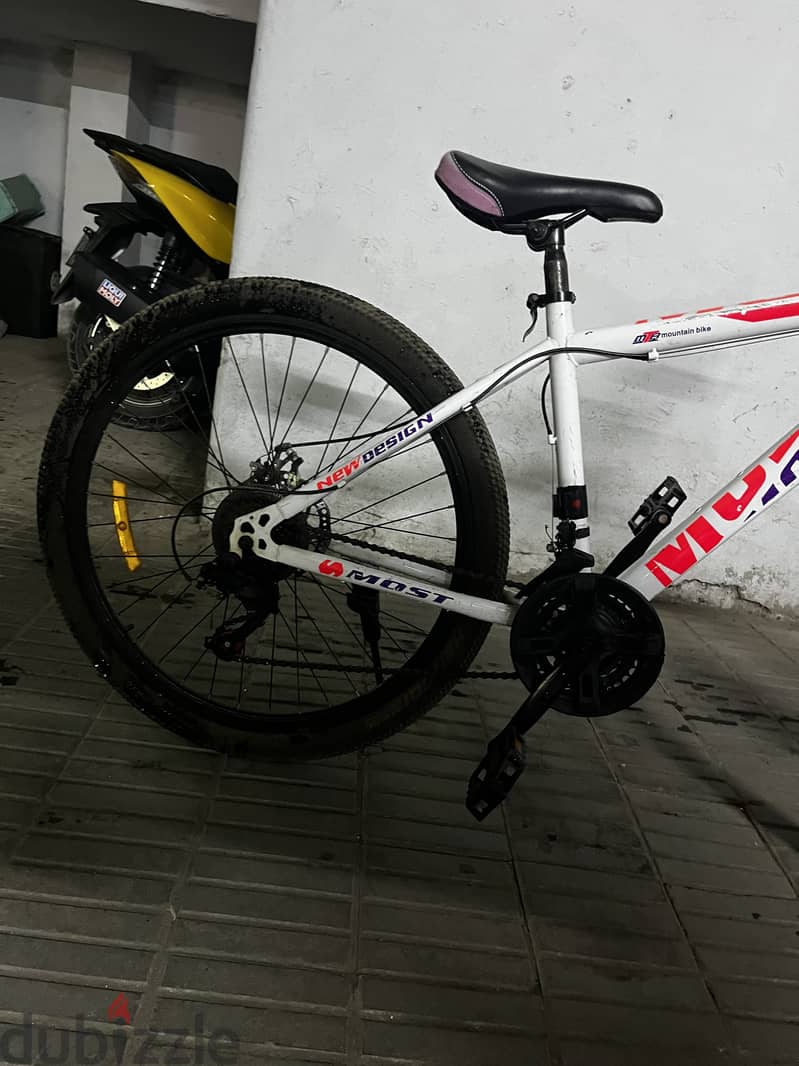Mountain bike 2