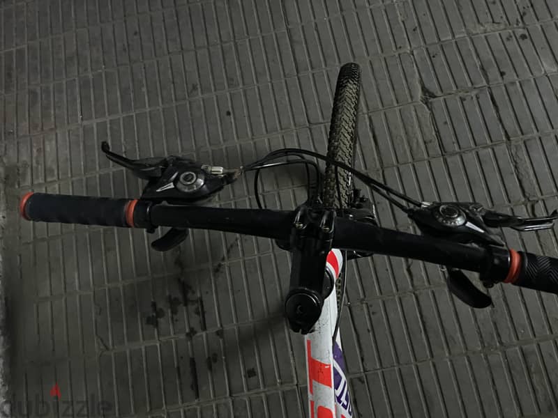 Mountain bike 3