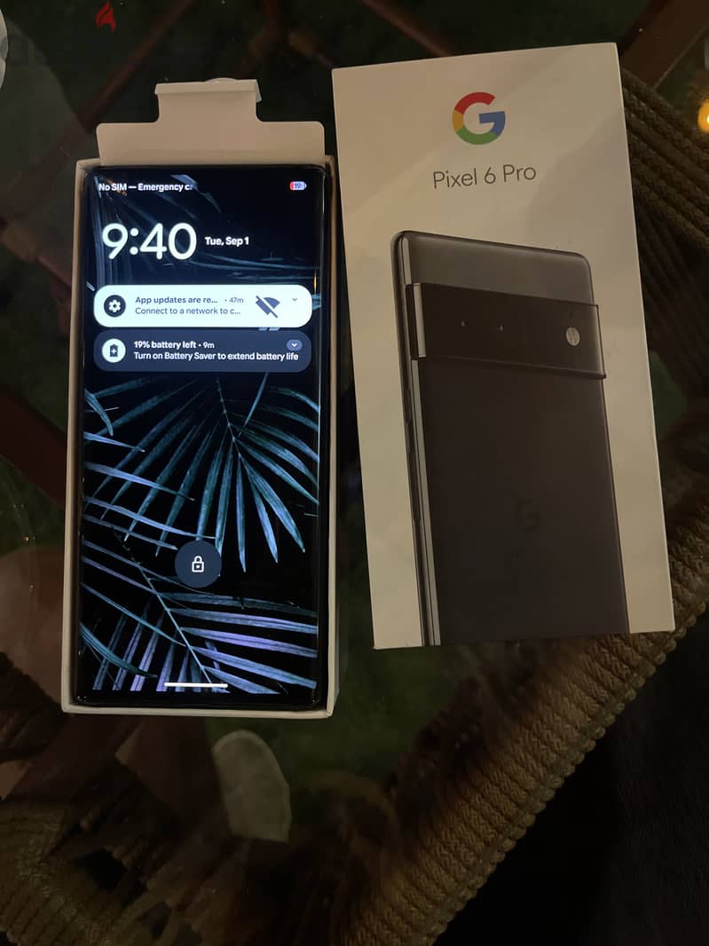 Google Pixel 6 Pro 2