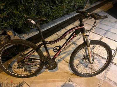 phonix 26