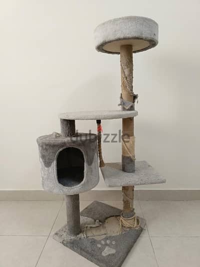 بيت قطط cat house