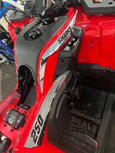 بيتش باجي Shark 250cc - 2026