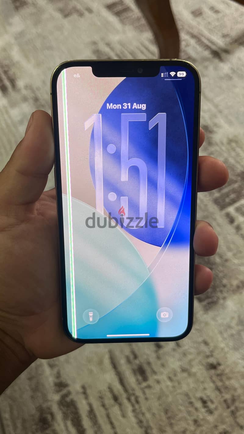 Apple - iPhone 12 Pro Max 1