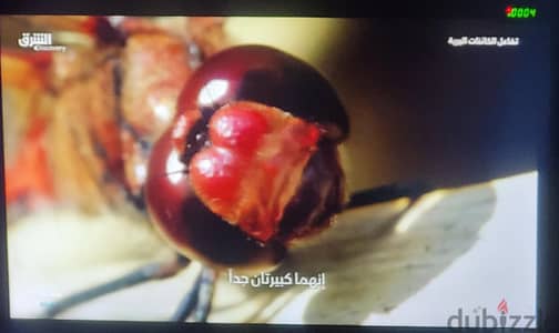 شاشة كمبيوتر LCD viewsonic بحالة ممتازة معاها كابل يتحول لدش