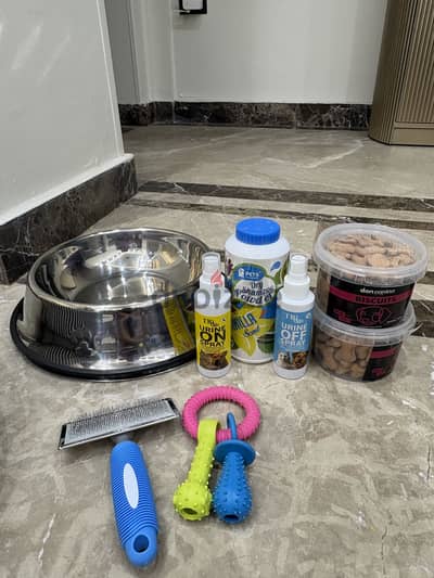 New Dog Supplies - Unused 