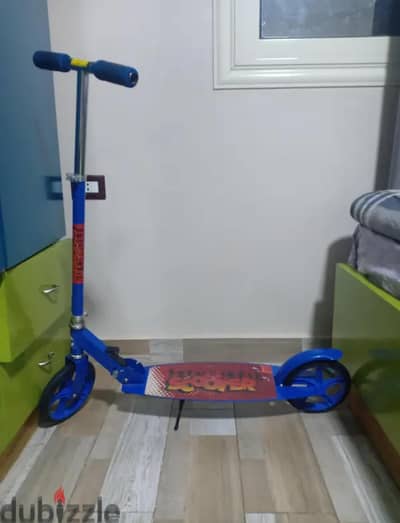 scoter