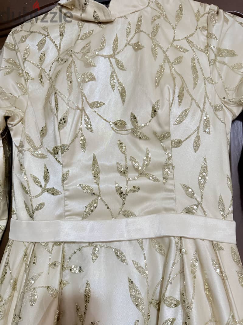 Evening dress 2