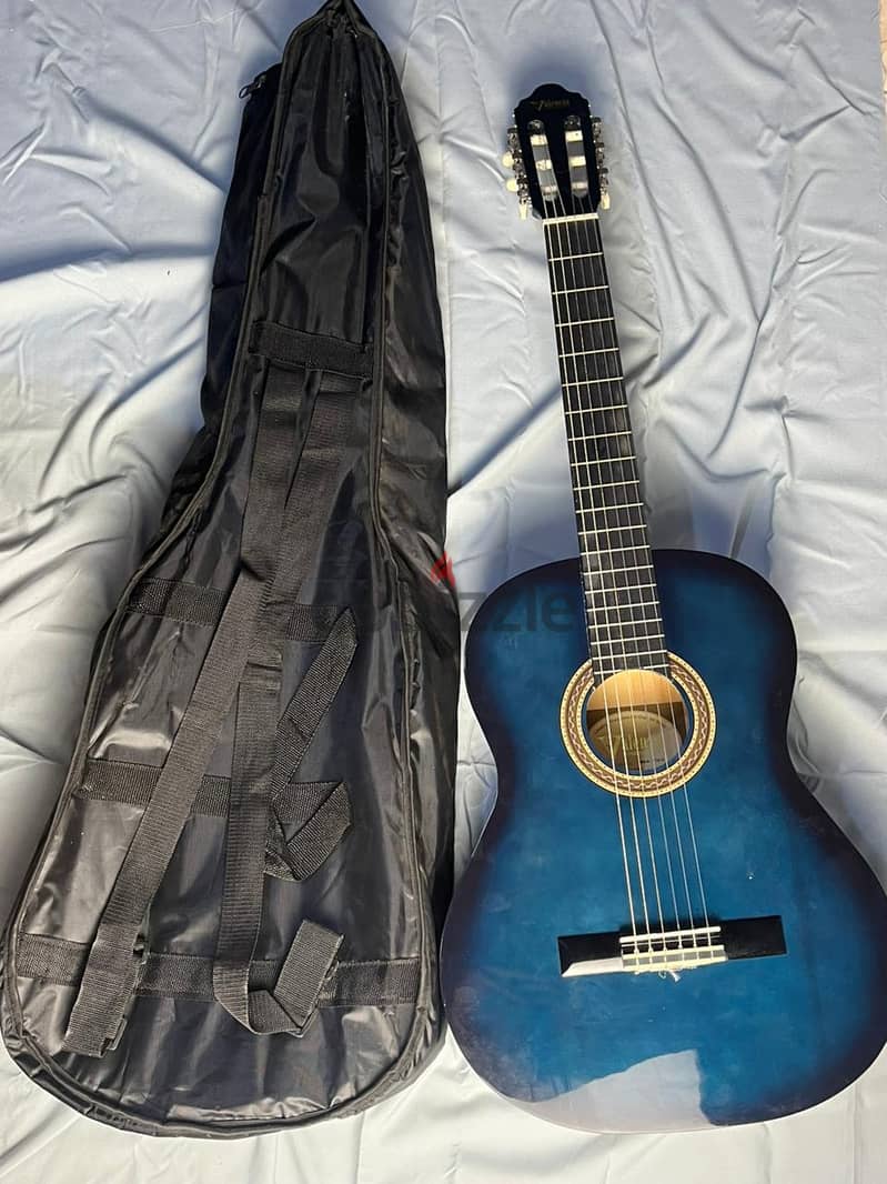 clasic gitar (Valencia) 5