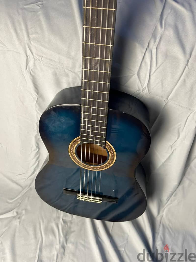 clasic gitar (Valencia) 8