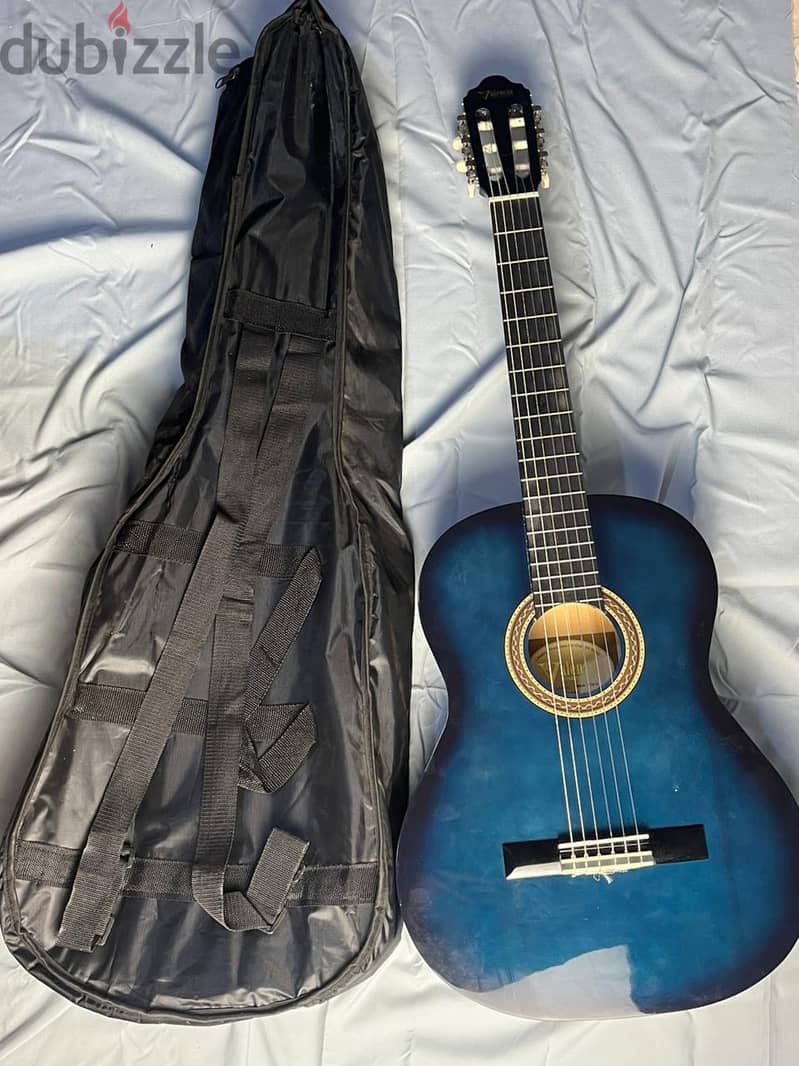 clasic gitar (Valencia) 10