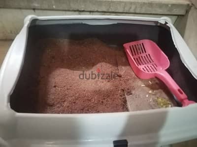 اول جمال