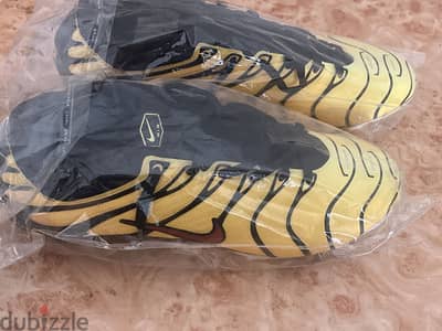 Nike mercurial tn mirror