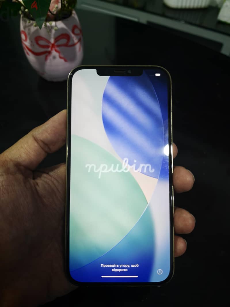 Apple - iPhone 12 Pro Max 1