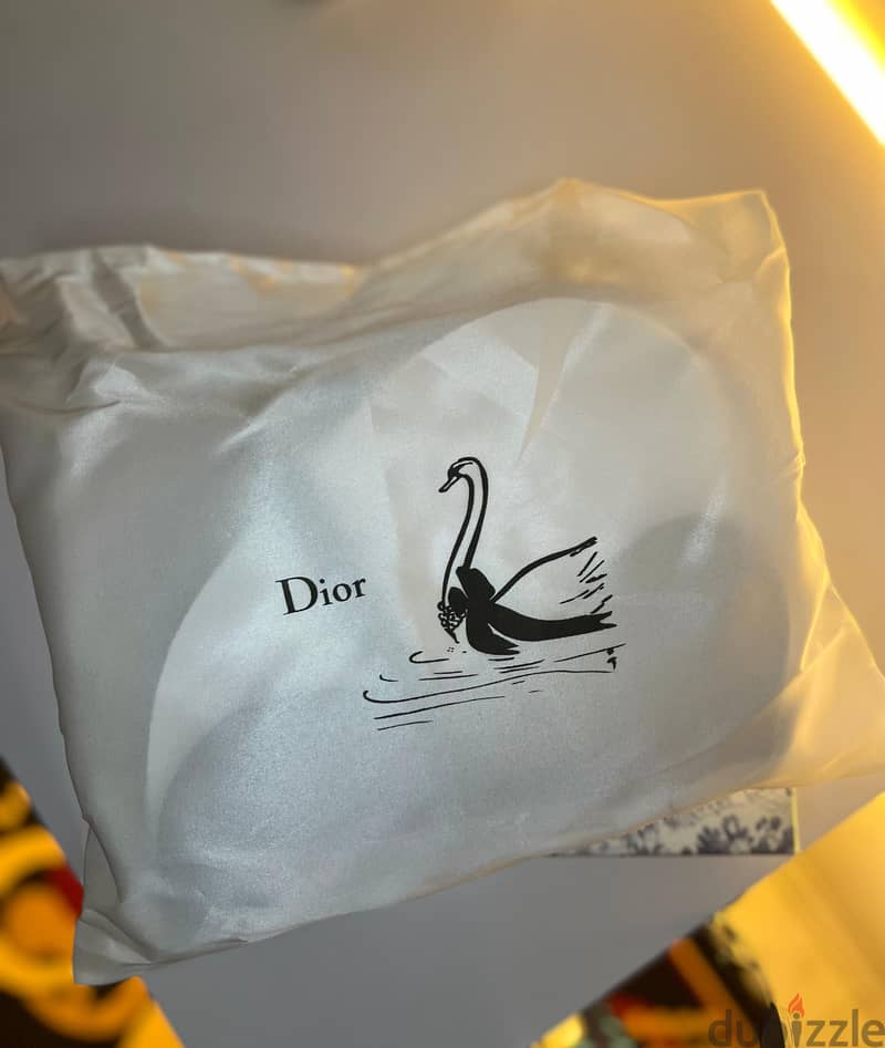 Dior saddle bag( mideum)(Black) 1