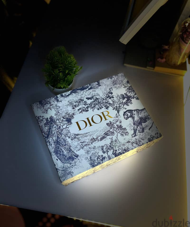 Dior saddle bag( mideum)(Black) 6