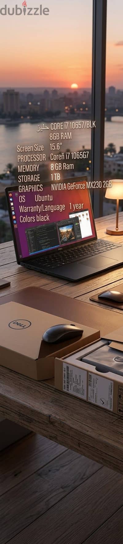 Dell Inspiron