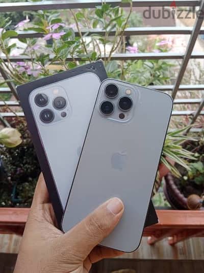 iPhone 13 Pro Max