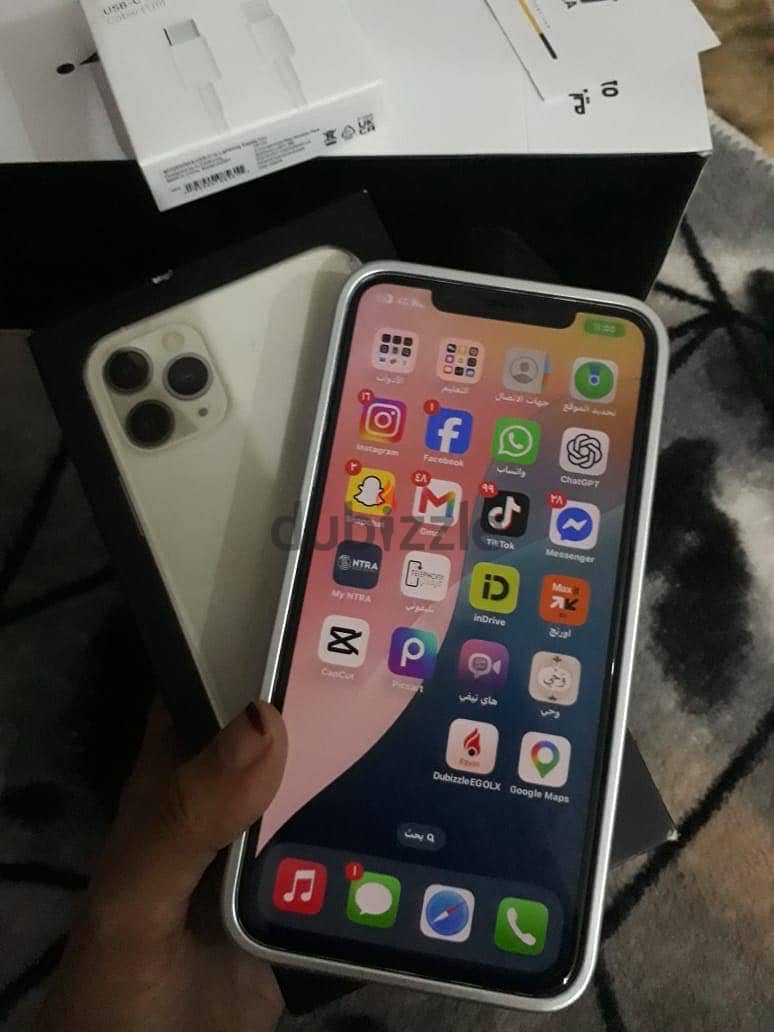 11 pro max 2