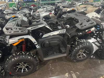 بيتش باجي sharks 250cc