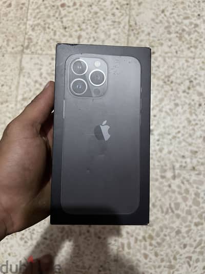 13 pro