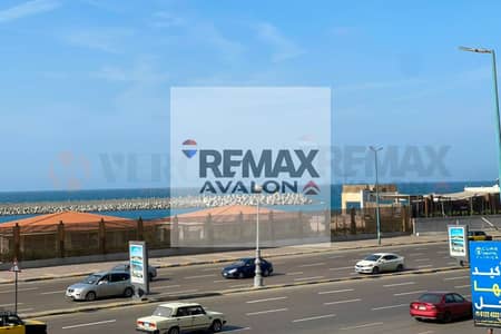 For Sale Balance Licensed Commercial 221 M Laurent (Direct Sea - Al Iqbal St.)
