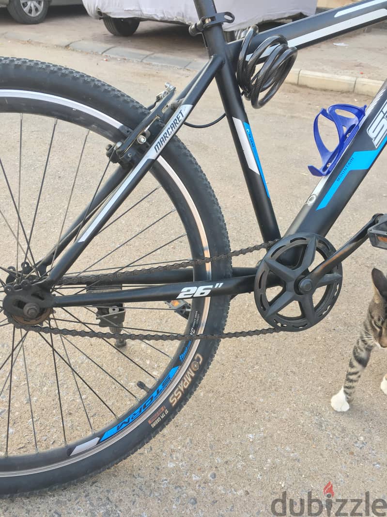 Storm Marcaret 26' Single Speed 2