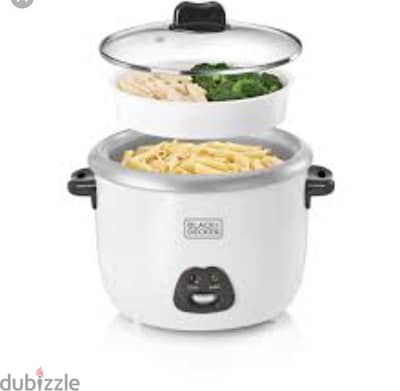 rice cooker
