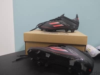 ستارز  ميرور f50