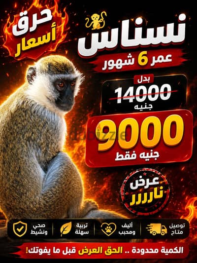 نسناس