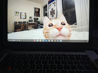 Acer Chromebook 14