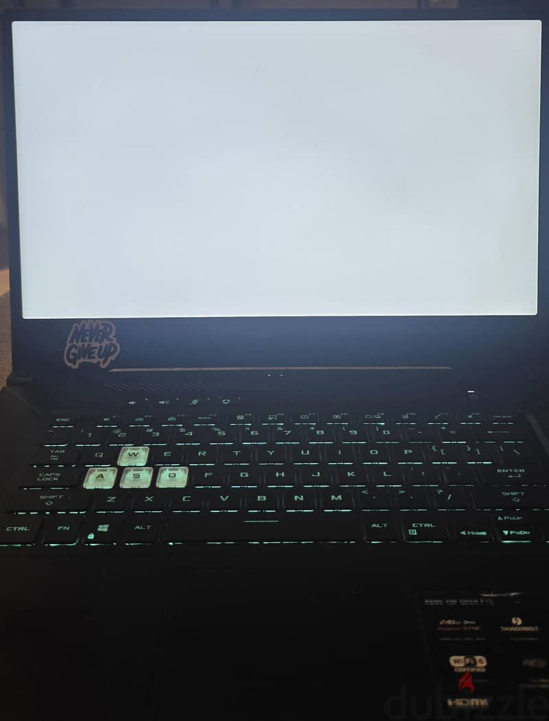 ASUS TUF DASH 15 (3070) 4
