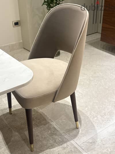 Dining Chairs