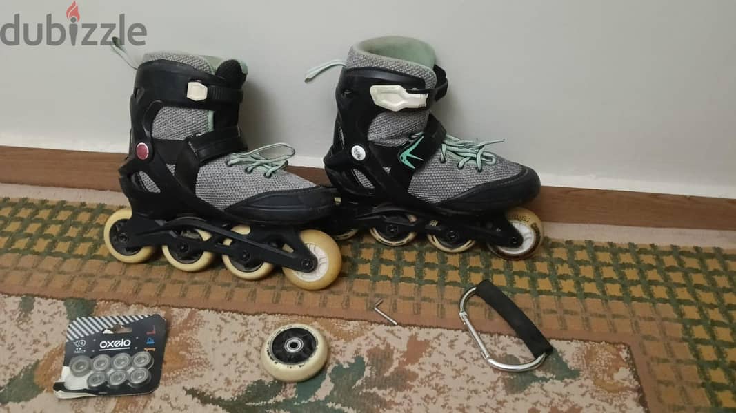 skate 1