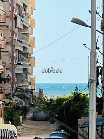 شقه في الإسكندرية العجمي شاطي النخيل خطوات لي البحر موقع مميز جدا تاني شارع من الرئيسي موقع سكني