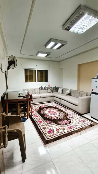 Apartment for rent in Manial