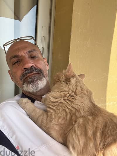 للتبني