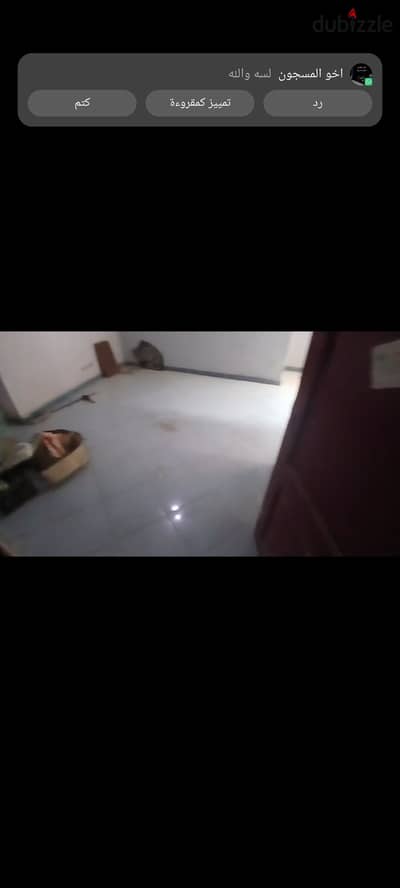 Apartment for rent in Al-Mub'a Faisal