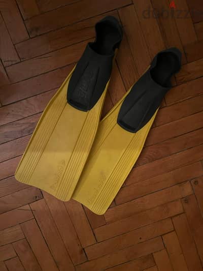 clio fins